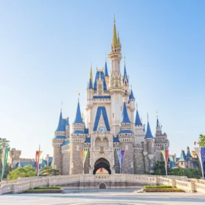 Passaporte Mágico (Tokyo Disney)